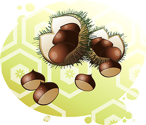 EPS 식물 아이콘 전통 명절 한국 사람없음 추석 견과류 밤 2D아이콘 기념일 아시아 파일형식 벡터