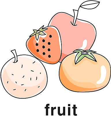 EPS 식물 아이콘 영어 음식 과일 딸기 귤 감 영어교육 사람없음 단어 농작물 배 사과 라인아이콘 2D아이콘 문자 교육 농업 파일형식 벡터