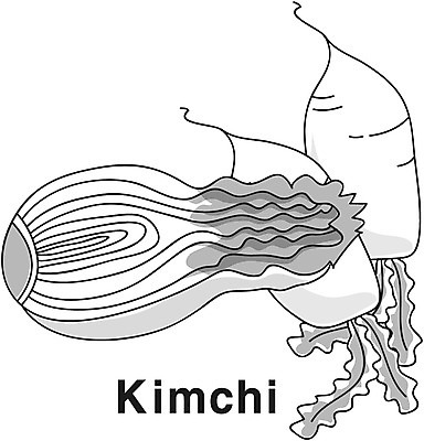 EPS 아이콘 영어 음식 채소 식재료 김치 흑백 영어교육 사람없음 단어 농작물 무 라인아이콘 배추 2D아이콘 문자 교육 한식 농업 뿌리채소 촬영기법 파일형식 벡터