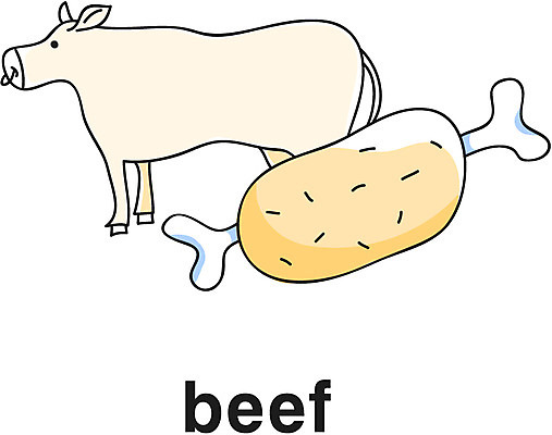EPS 동물 아이콘 영어 음식 식재료 육류 영어교육 사람없음 단어 소고기 소 라인아이콘 갈비 축산물 2D아이콘 문자 교육 포유류 축산업 파일형식 벡터
