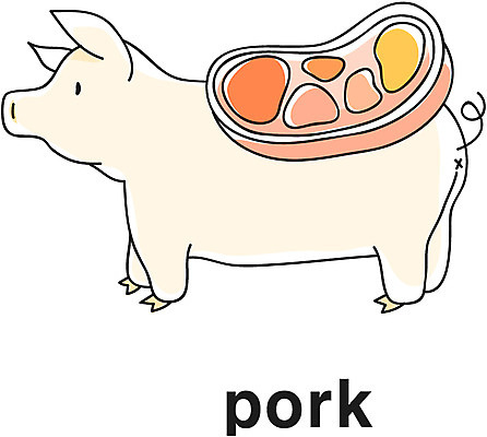 EPS 동물 아이콘 영어 음식 식재료 육류 돼지고기 영어교육 사람없음 단어 돼지 라인아이콘 삼겹살 축산물 2D아이콘 문자 교육 포유류 축산업 파일형식 벡터