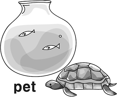 EPS 동물 아이콘 척추동물 영어 야생동물 파충류 흑백 어류 영어교육 취미 사람없음 단어 거북이 어항 라인아이콘 애완 2D아이콘 문자 교육 촬영기법 수중동물 파일형식 벡터