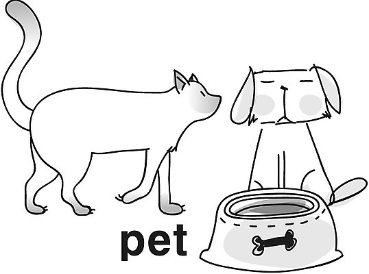 EPS 동물 아이콘 척추동물 육지동물 영어 포유류 영어교육 취미 사람없음 단어 반려동물 고양이 개 강아지 먹이 라인아이콘 애완 애묘용품 2D아이콘 반려용품 문자 교육 오브젝트 파일형식 벡터