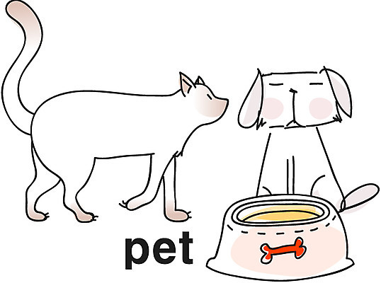 EPS 동물 아이콘 척추동물 육지동물 영어 포유류 영어교육 취미 사람없음 단어 반려동물 고양이 개 강아지 먹이 라인아이콘 애완 애묘용품 2D아이콘 반려용품 문자 교육 오브젝트 파일형식 벡터