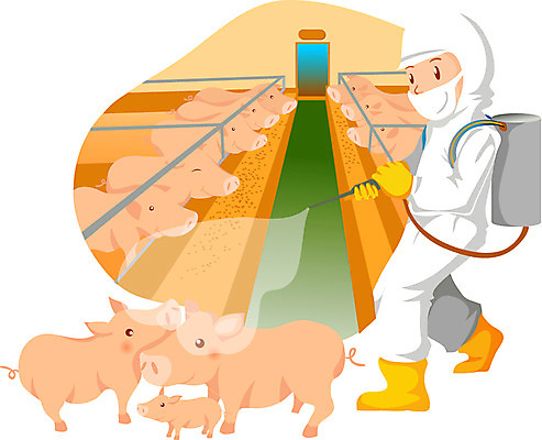 EPS 전신 직업 남자 일러스트 실내 한명 사람 성인 가축 작업 돼지 작업실 축산업 축사 소독 남자만 남자한명만 성인남자만 성인만 국내일러스트 동물 1 건축물 산업 포유류 내부 파일형식 벡터