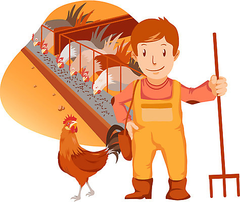 EPS 전신 직업 캐릭터 남자 일러스트 한명 사람 성인 야외 가축 닭 꼬챙이 축산업 먹이 축사 농어촌캐릭터 닭장 동물조련사 사육사 남자만 남자한명만 성인남자만 성인만 일러캐릭터 동물 1 건축물 산업 조류 주방용품 산업캐릭터 파일형식 벡터