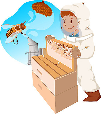 EPS 주간 전신 직업 남자 일러스트 한명 사람 성인 야외 작업 작업실 꿀벌 벌 벌집 양봉업 남자만 남자한명만 성인남자만 성인만 국내일러스트 자연요소 1 곤충 벌_곤충 파일형식 벡터