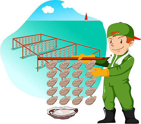 EPS 주간 전신 직업 캐릭터 남자 바다 일러스트 교통시설 등대 한명 사람 성인 야외 굴 작업 작업실 농어촌캐릭터 양식장 양식업 남자만 남자한명만 성인남자만 성인만 일러캐릭터 자연요소 1 교통 어패류 시설 산업캐릭터 파일형식 벡터