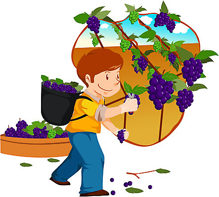 EPS 주간 전신 직업 캐릭터 열매 남자 과일 일러스트 포도 한명 사람 성인 야외 수확 작업 작업실 과수원 원예 농어촌캐릭터 남자만 남자한명만 성인남자만 성인만 일러캐릭터 자연요소 식물 1 농업 취미 산업캐릭터 파일형식 벡터