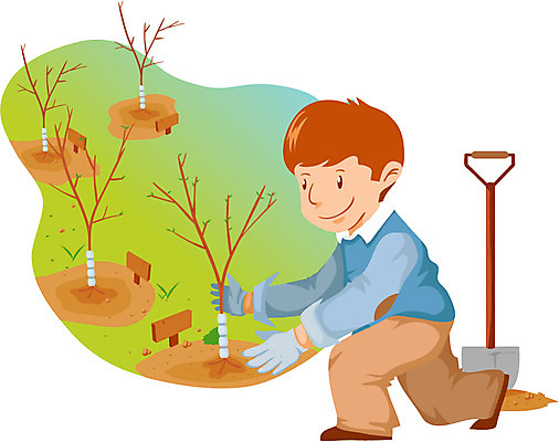 EPS 주간 전신 나무 직업 남자 일러스트 한명 사람 성인 야외 작업 작업실 삽 묘목 임업 남자만 남자한명만 성인남자만 성인만 국내일러스트 자연요소 식물 1 산업 파일형식 벡터