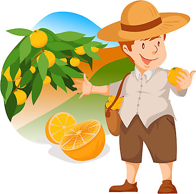 EPS 전신 직업 캐릭터 열매 남자 오렌지 과일 일러스트 귤 한명 사람 성인 수확 작업 작업실 과수원 농어촌캐릭터 남자만 남자한명만 성인남자만 성인만 일러캐릭터 식물 1 농업 산업캐릭터 파일형식 벡터