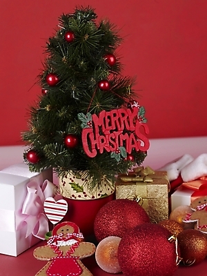 포토 JPG 기념일 크리스마스장식 크리스마스 크리스마스용품 선물 사람없음 크리스마스트리 오브젝트 국내포토 이벤트 용품 파일형식