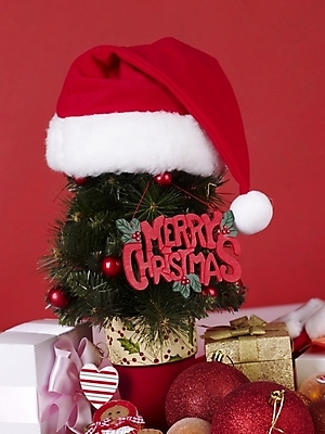 포토 JPG 기념일 크리스마스장식 크리스마스 산타모자 크리스마스용품 사람없음 크리스마스트리 오브젝트 국내포토 모자_잡화 이벤트 용품 파일형식