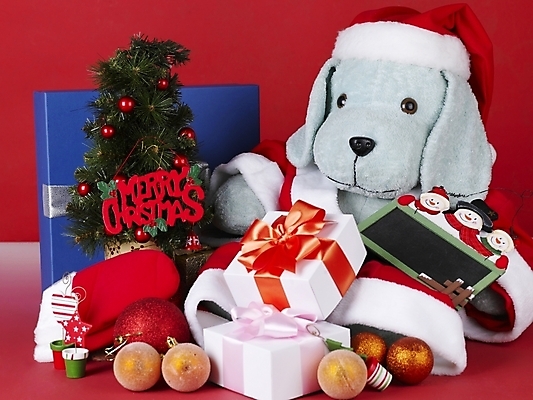 포토 JPG 기념일 인형 크리스마스장식 크리스마스 크리스마스용품 안내 선물 근접촬영 사람없음 칠판 알림 오브젝트 강아지인형 국내포토 뷰포인트 이벤트 용품 파일형식