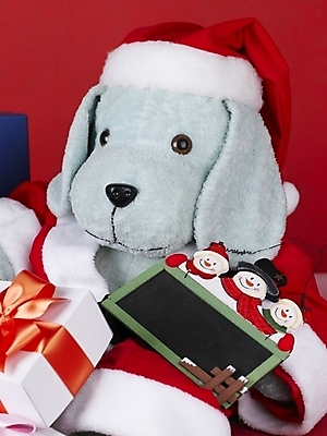 포토 JPG 기념일 인형 크리스마스장식 크리스마스 크리스마스용품 안내 선물 근접촬영 사람없음 칠판 알림 오브젝트 강아지인형 국내포토 뷰포인트 이벤트 용품 파일형식