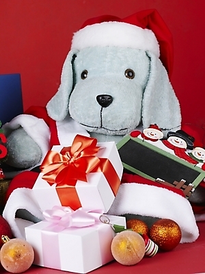 포토 JPG 기념일 인형 크리스마스장식 크리스마스 크리스마스용품 선물 근접촬영 사람없음 오브젝트 강아지인형 국내포토 뷰포인트 이벤트 용품 파일형식