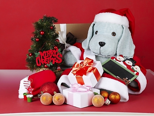 포토 JPG 기념일 인형 크리스마스장식 크리스마스 크리스마스용품 선물 근접촬영 사람없음 오브젝트 강아지인형 국내포토 뷰포인트 이벤트 용품 파일형식