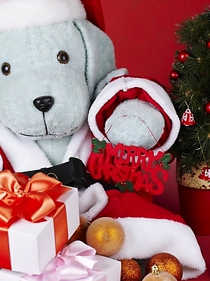 포토 JPG 기념일 인형 크리스마스장식 크리스마스 크리스마스용품 선물 근접촬영 사람없음 오브젝트 강아지인형 국내포토 뷰포인트 이벤트 용품 파일형식