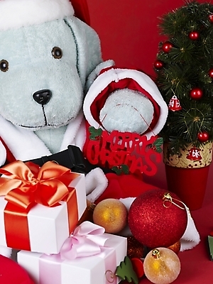 포토 JPG 기념일 인형 크리스마스장식 크리스마스 크리스마스용품 선물 근접촬영 사람없음 오브젝트 강아지인형 국내포토 뷰포인트 이벤트 용품 파일형식