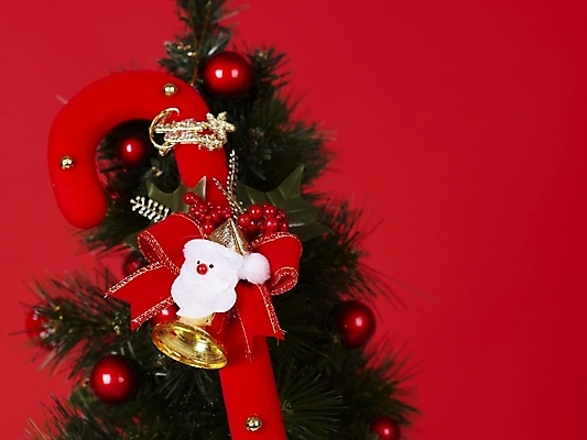 포토 JPG 기념일 크리스마스장식 크리스마스 지팡이 크리스마스용품 사람없음 장식 크리스마스트리 오브젝트 국내포토 이벤트 용품 파일형식