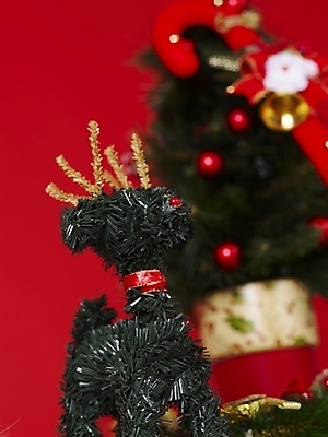 포토 JPG 기념일 인형 크리스마스장식 크리스마스 크리스마스용품 근접촬영 사람없음 장식 크리스마스트리 루돌프 오브젝트 국내포토 뷰포인트 사슴 이벤트 용품 파일형식