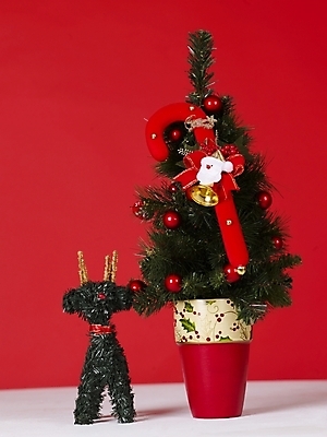 포토 JPG 기념일 크리스마스장식 크리스마스 크리스마스용품 사람없음 장식 크리스마스트리 오브젝트 국내포토 이벤트 용품 파일형식