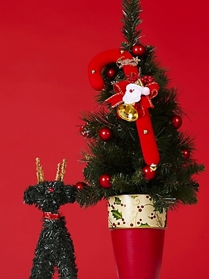 포토 JPG 기념일 크리스마스장식 크리스마스 크리스마스용품 사람없음 장식 크리스마스트리 오브젝트 국내포토 이벤트 용품 파일형식