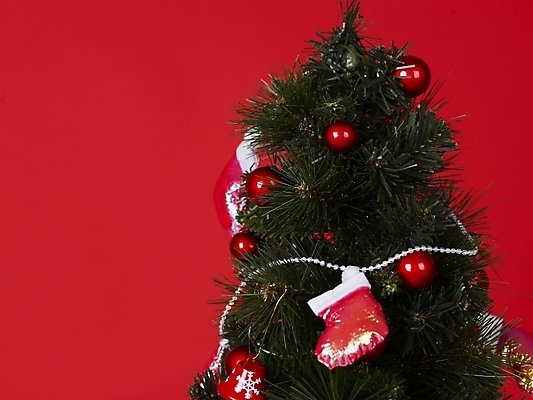 포토 JPG 기념일 크리스마스장식 크리스마스 크리스마스용품 사람없음 장식 크리스마스트리 오브젝트 국내포토 이벤트 용품 파일형식