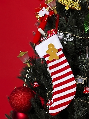 포토 JPG 기념일 크리스마스장식 크리스마스 크리스마스용품 양말 사람없음 장식 크리스마스트리 오브젝트 국내포토 이벤트 용품 파일형식