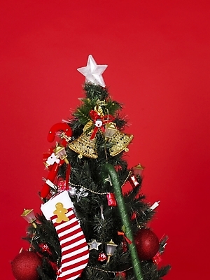 포토 JPG 기념일 크리스마스장식 크리스마스 크리스마스용품 양말 사람없음 장식 크리스마스트리 오브젝트 국내포토 이벤트 용품 파일형식