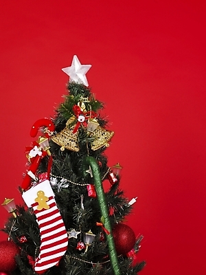 포토 JPG 기념일 크리스마스장식 크리스마스 크리스마스용품 사람없음 장식 크리스마스트리 오브젝트 국내포토 이벤트 용품 파일형식