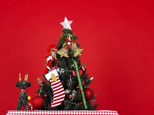 포토 JPG 기념일 크리스마스장식 크리스마스 크리스마스용품 사람없음 장식 크리스마스트리 오브젝트 국내포토 이벤트 용품 파일형식