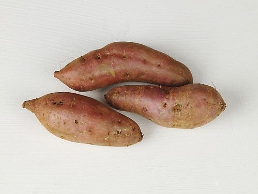 포토 JPG 스튜디오촬영 음식 채소 식재료 뿌리채소 누끼 사람없음 세개 고구마 국내포토 실내 3 파일형식