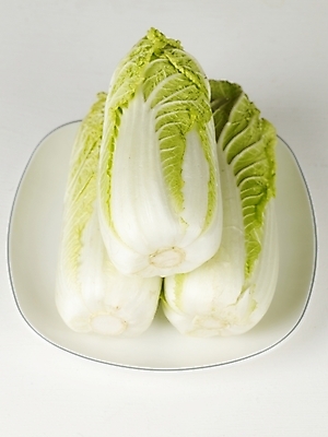 포토 JPG 스튜디오촬영 채소 식재료 누끼 사람없음 배추 김장 국내포토 실내 파일형식