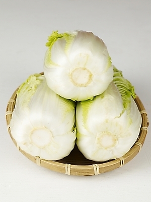 포토 JPG 스튜디오촬영 채소 식재료 누끼 사람없음 배추 김장 국내포토 실내 파일형식