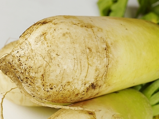 포토 JPG 스튜디오촬영 채소 식재료 뿌리채소 근접촬영 사람없음 세개 무 뿌리 김장 무청 국내포토 뷰포인트 실내 3 파일형식