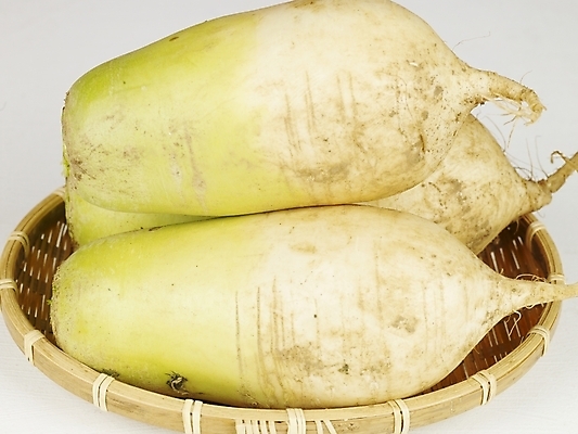 포토 JPG 스튜디오촬영 채소 식재료 뿌리채소 사람없음 광주리 세개 무 뿌리 김장 국내포토 실내 3 바구니 파일형식