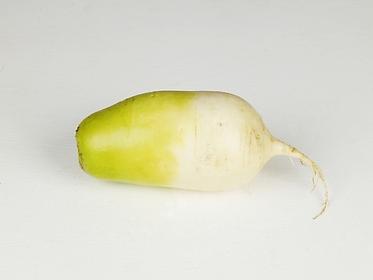 포토 JPG 스튜디오촬영 채소 식재료 뿌리채소 누끼 사람없음 한개 무 뿌리 김장 국내포토 1 실내 파일형식