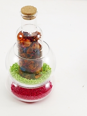 포토 JPG 식물 웰빙 꽃 유리병 누끼 사람없음 인테리어 오브젝트 국내포토 디자인 병_용기 파일형식