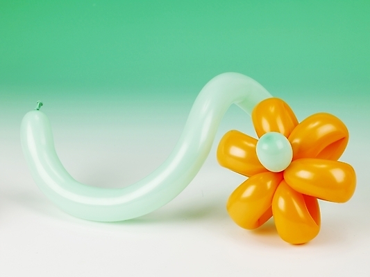 포토 JPG 꽃무늬 이벤트 사람없음 장식 파티 오브젝트 풍선 국내포토 꽃 무늬 파일형식