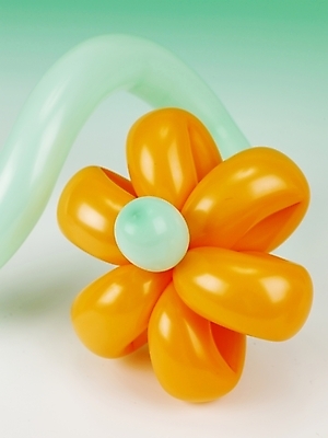 포토 JPG 꽃무늬 이벤트 사람없음 장식 파티 오브젝트 풍선 국내포토 꽃 무늬 파일형식