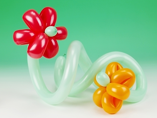 포토 JPG 꽃무늬 이벤트 사람없음 장식 파티 오브젝트 풍선 국내포토 꽃 무늬 파일형식