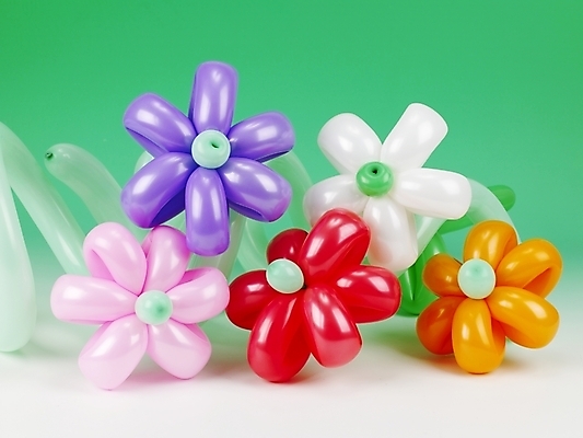 포토 JPG 꽃무늬 이벤트 사람없음 장식 파티 오브젝트 풍선 국내포토 꽃 무늬 파일형식