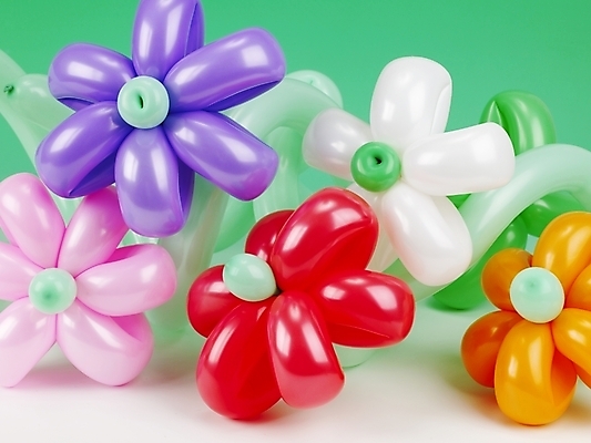 포토 JPG 꽃무늬 이벤트 사람없음 장식 파티 오브젝트 풍선 국내포토 꽃 무늬 파일형식