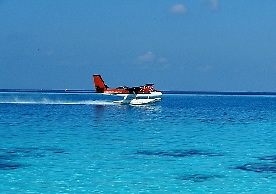 포토 JPG 주간 바다 교통 항공교통 자연 비행기 풍경 사람없음 야외 비행정 수상비행기 국내포토 자연요소 교통수단 대중교통 생태계 파일형식