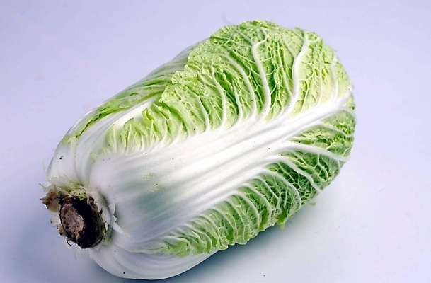 포토 JPG 스튜디오촬영 음식 채소 식재료 사람없음 한개 배추 한포기 국내포토 1 실내 파일형식
