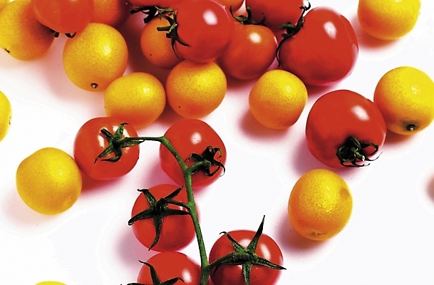 포토 JPG 스튜디오촬영 식물 토마토 채소 방울토마토 사람없음 금귤 과채 국내포토 과일 귤 실내 파일형식