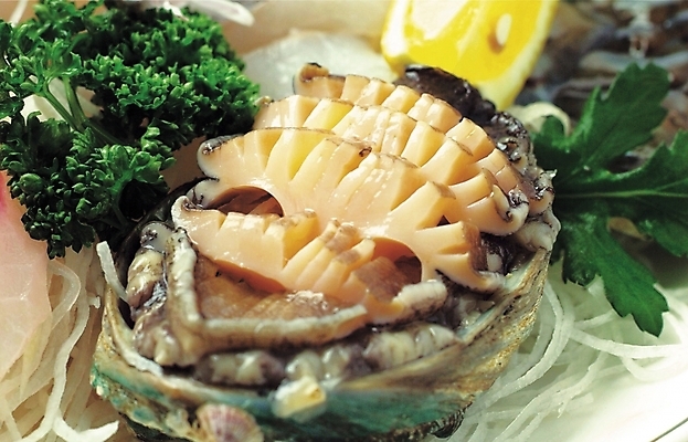 포토 JPG 스튜디오촬영 음식 사람없음 전복 전복회 일본음식 국내포토 어패류 실내 회 파일형식