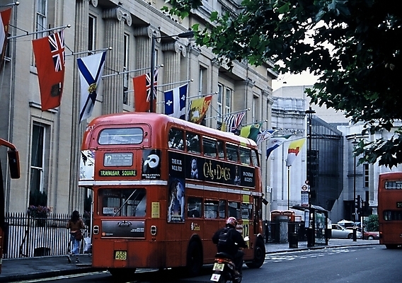 포토 JPG 주간 해외풍경 유럽 도로 육상교통 외국문화 교통 한대 영국 버스 사람없음 야외 도시 런던 이층버스 영국문화 국내포토 자연요소 1 해외 나라 문화 길 교통수단 교통시설 대중교통 풍경 유럽문화 파일형식
