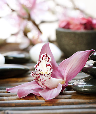 포토 JPG 해외이미지 꽃 분홍색 백그라운드 컨셉 사람없음 쌓기 검은색 스파 조약돌 흰색 마사지 난초 오브젝트 테라피 해외202004 해외포토 식물 컬러 모션 뷰티 돌_바위 파일형식